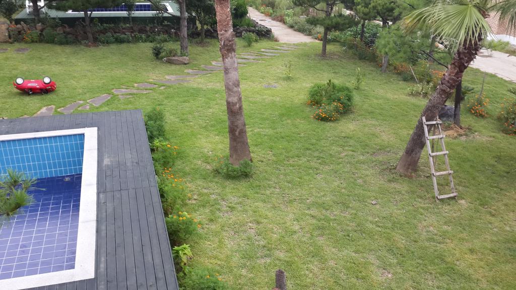 Jeju Olleh House Villa Bagian luar foto